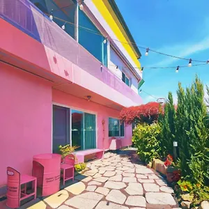 book here